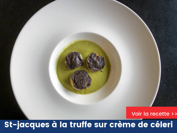 Saint-jacques à la truffe sur crème de céleri